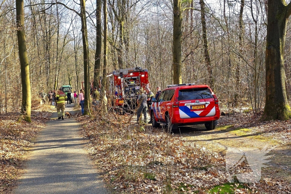 Brandweer strijdt tegen bosbrand
