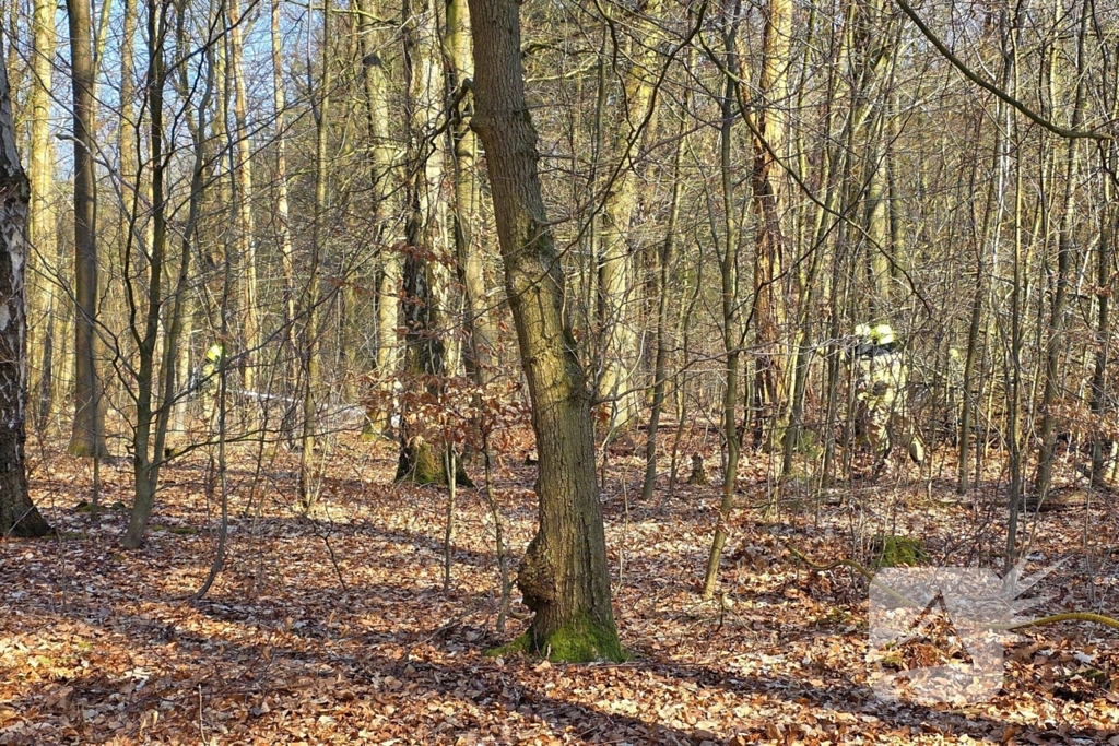 Brandweer strijdt tegen bosbrand