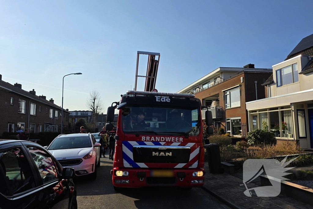 Coco veilig terug bij baasje