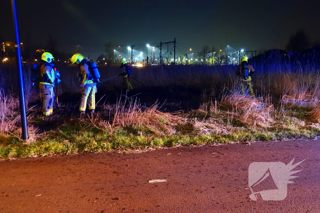 Brand in rietkraag snel geblust