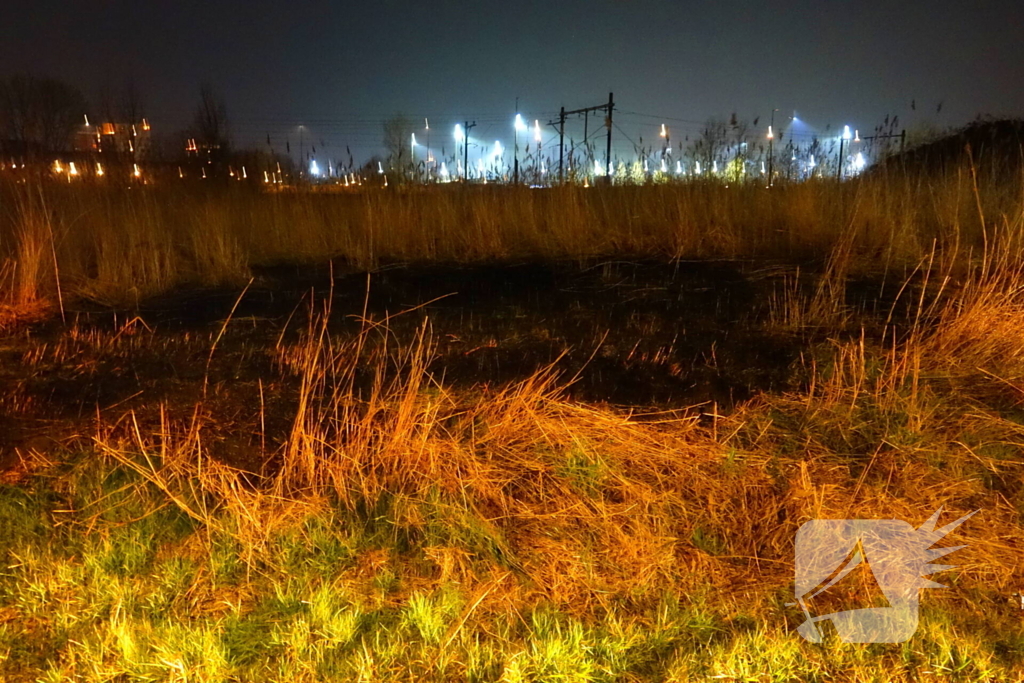 Brand in rietkraag snel geblust