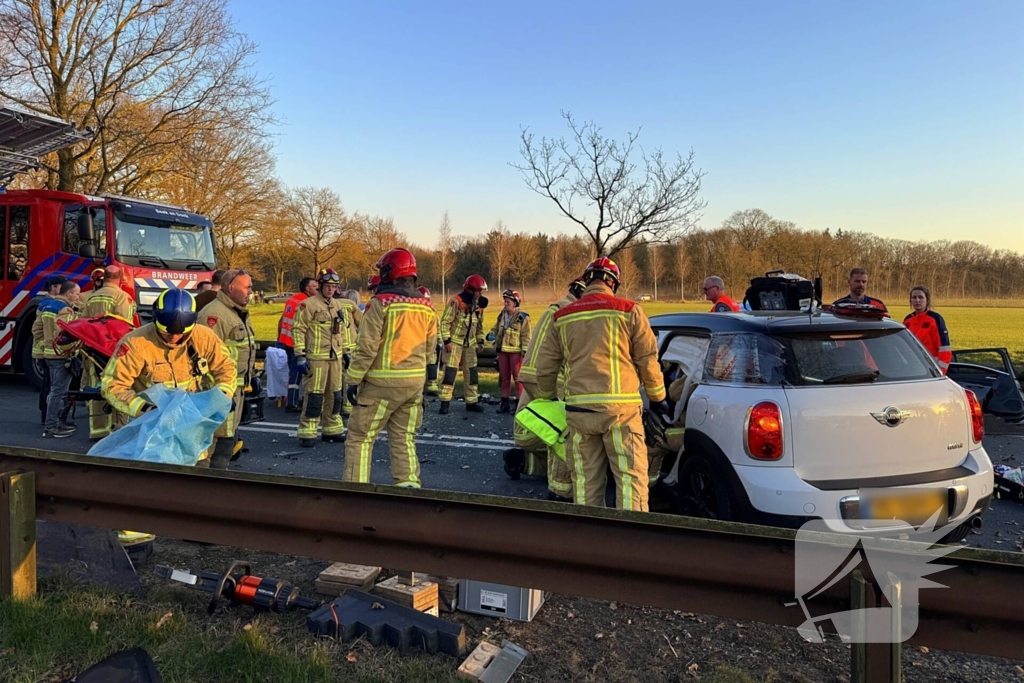 Hond komt om het leven bij aanrijding