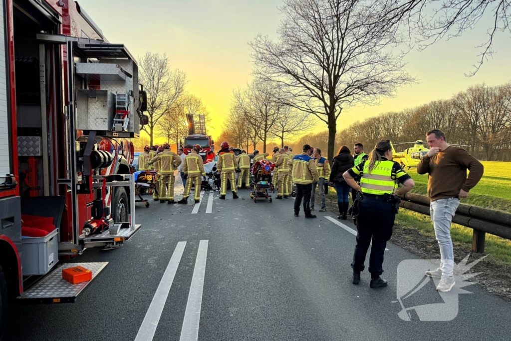 Hond komt om het leven bij aanrijding