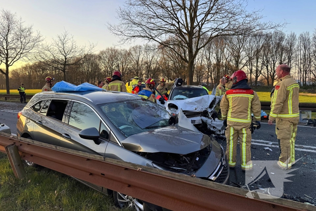 Hond komt om het leven bij aanrijding
