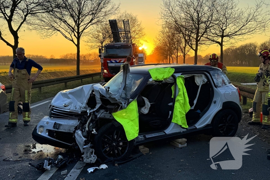 Hond komt om het leven bij aanrijding