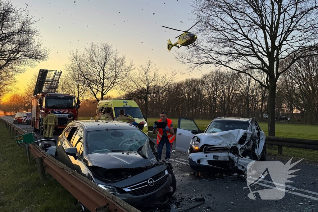 Hond komt om het leven bij aanrijding