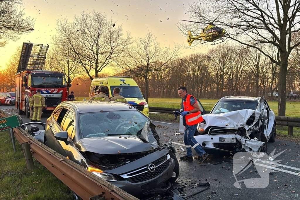 Hond komt om het leven bij aanrijding