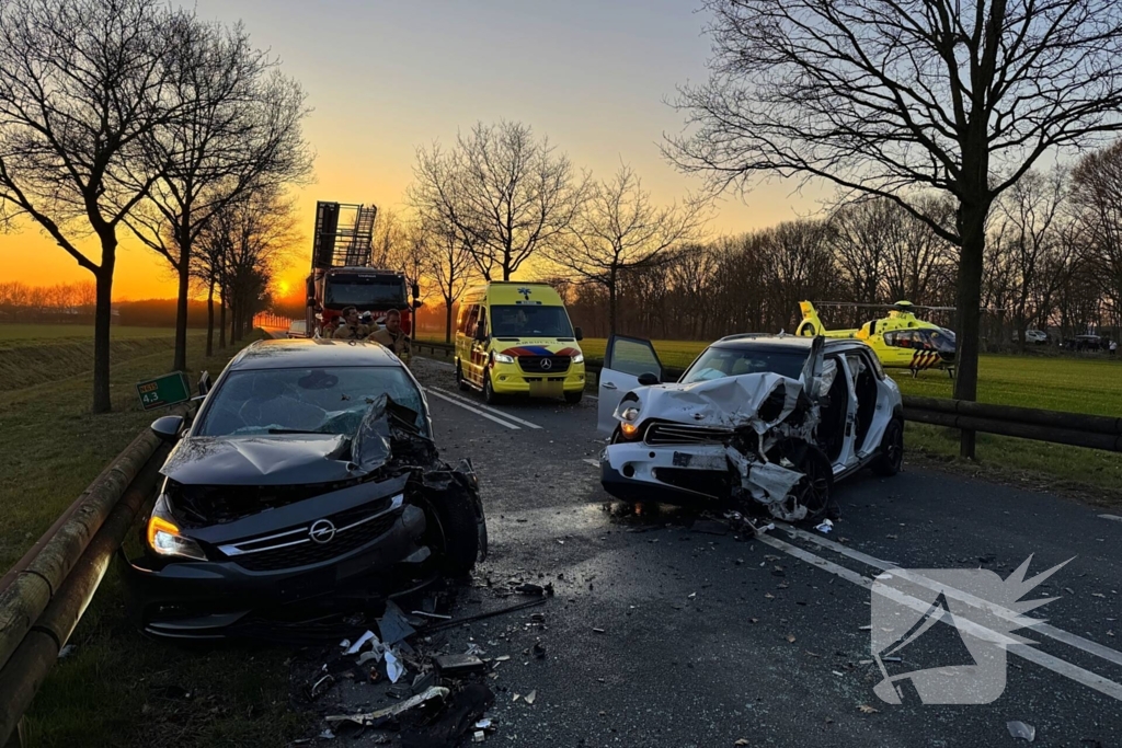 Hond komt om het leven bij aanrijding