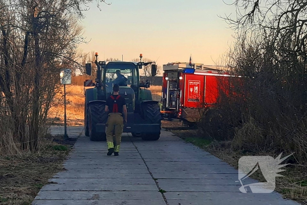 Brand in riet vermoedelijk opzettelijk aangestoken