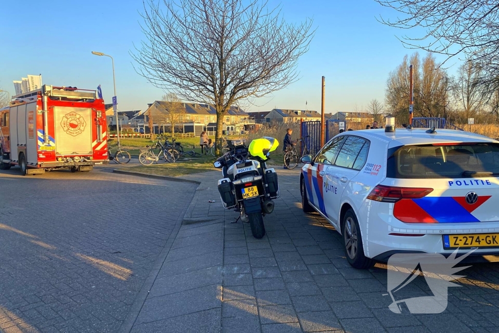 Brand in riet vermoedelijk opzettelijk aangestoken