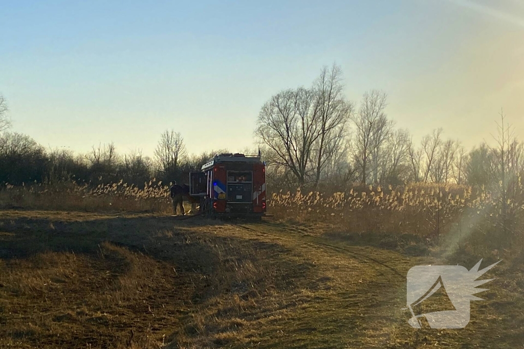 Brand in riet vermoedelijk opzettelijk aangestoken