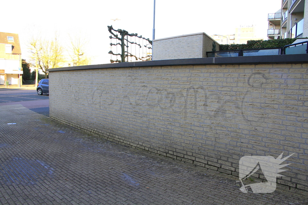 Politie onderzoekt reeks vernielingen