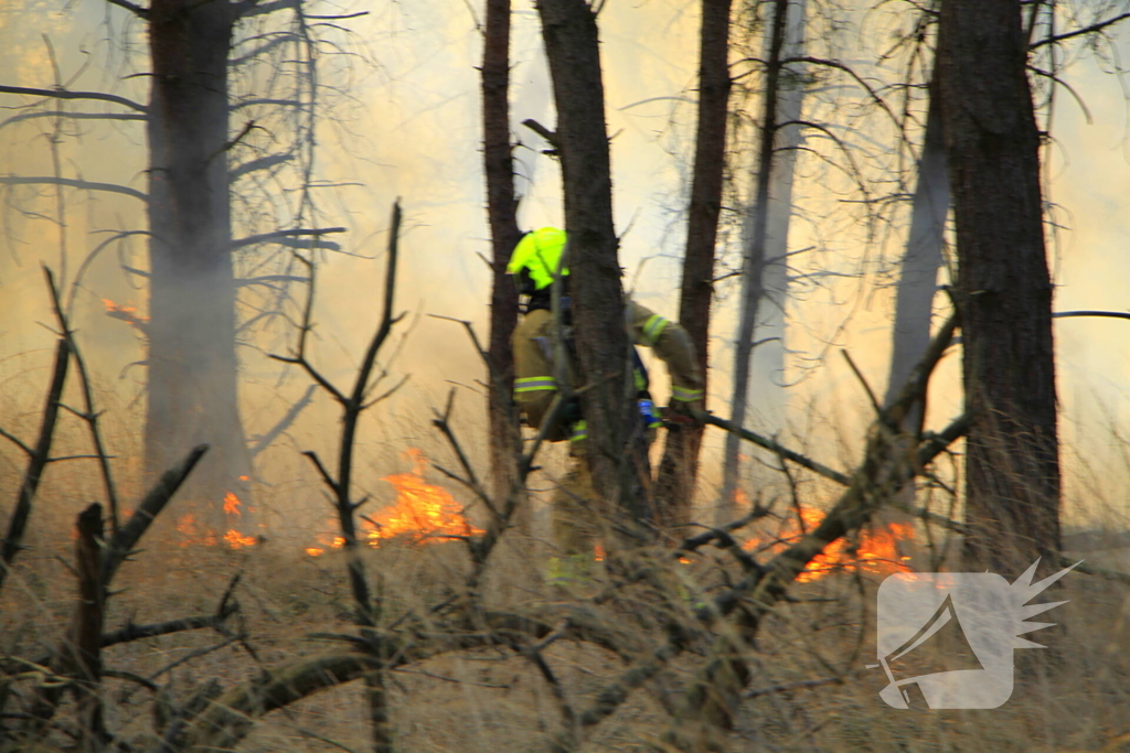 Zeer grote brand in de Laurabossen