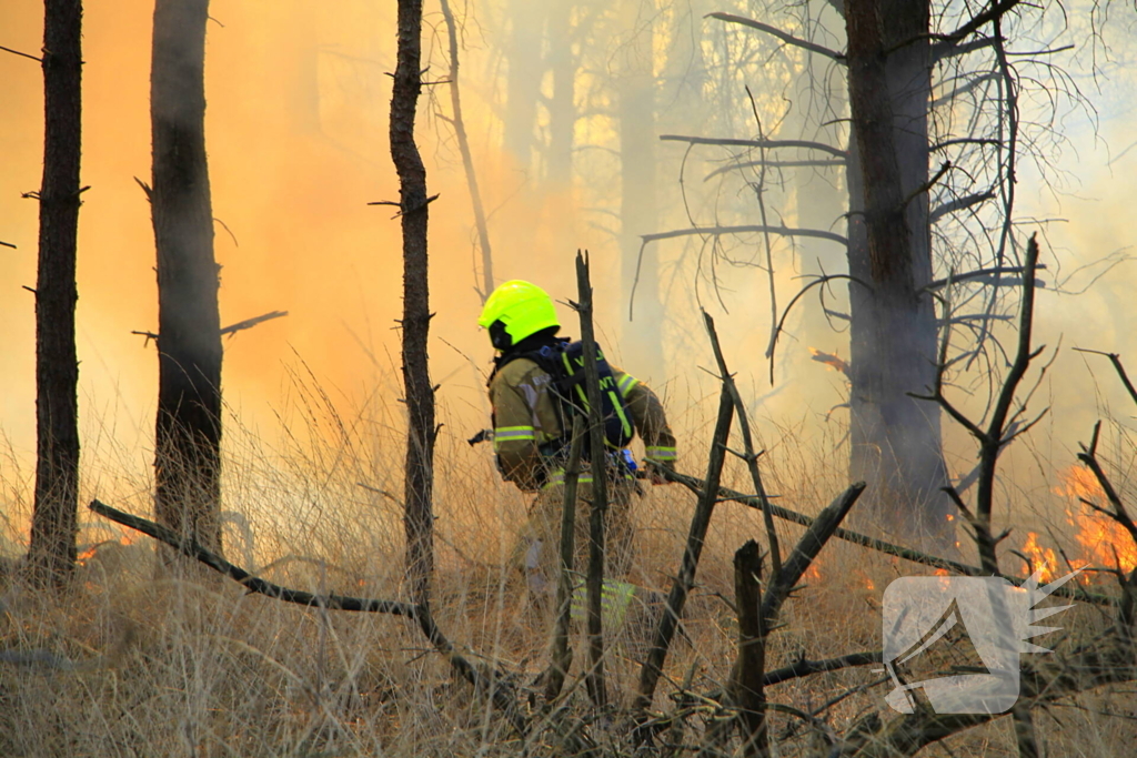 Zeer grote brand in de Laurabossen