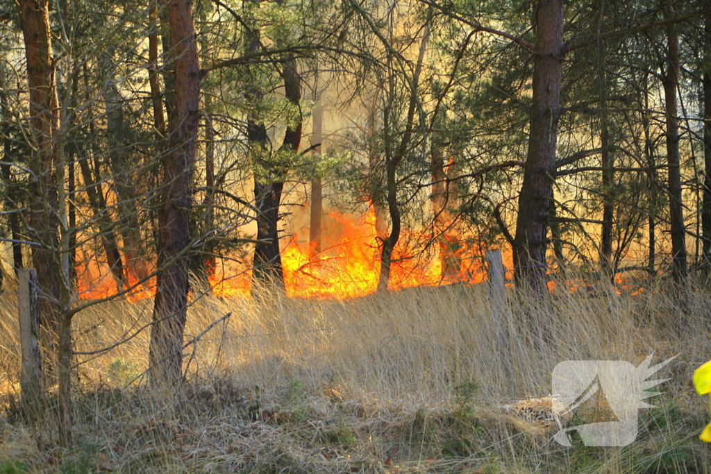 Zeer grote brand in de Laurabossen