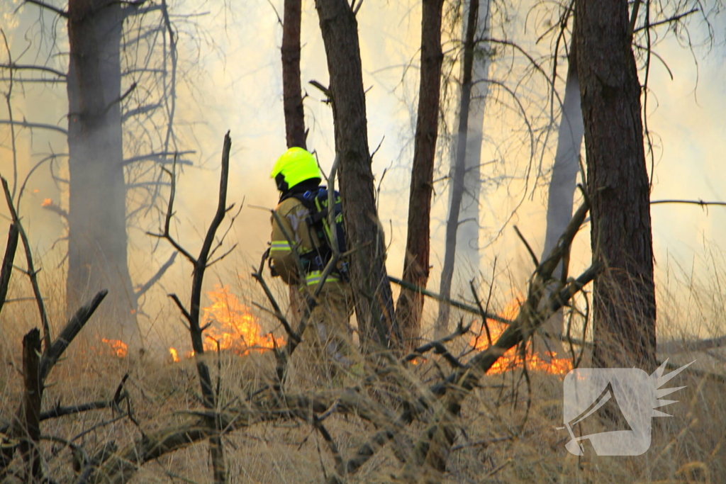 Zeer grote brand in de Laurabossen
