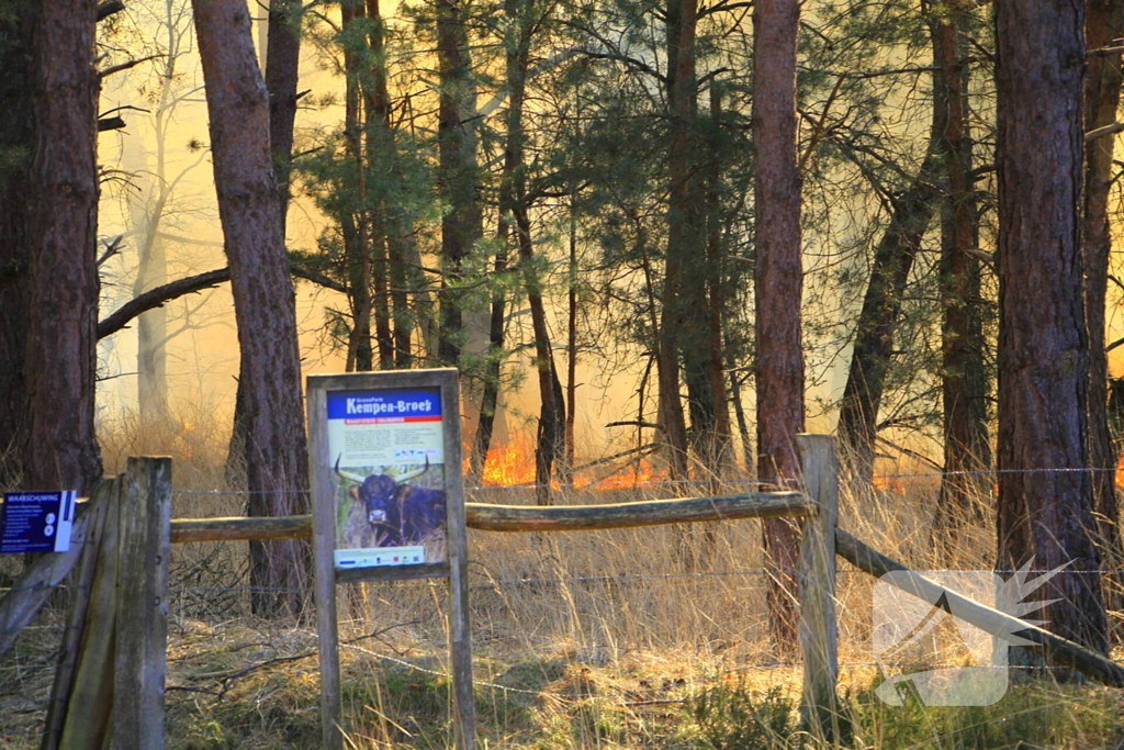 Zeer grote brand in de Laurabossen
