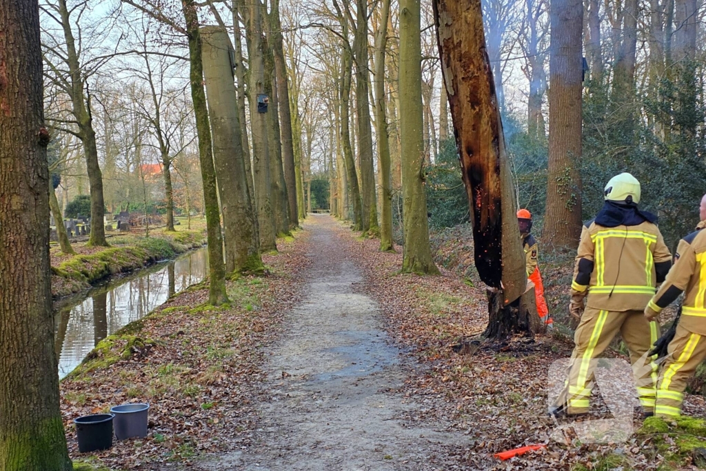 Brand in holle boom zorgt voor flinke rookontwikkeling