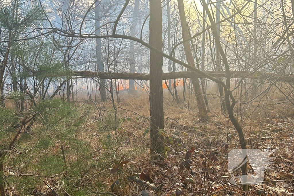 Brandweer strijdt tegen natuurbrand