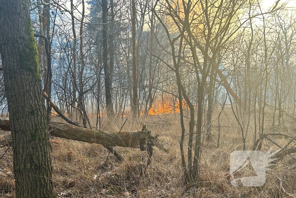 Brandweer strijdt tegen natuurbrand