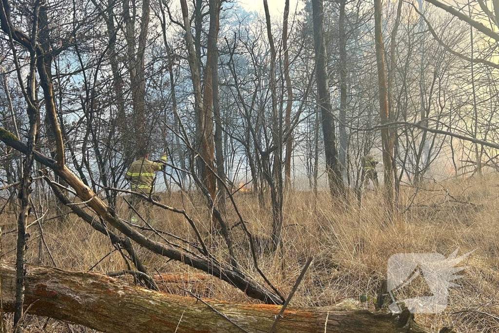 Brandweer strijdt tegen natuurbrand