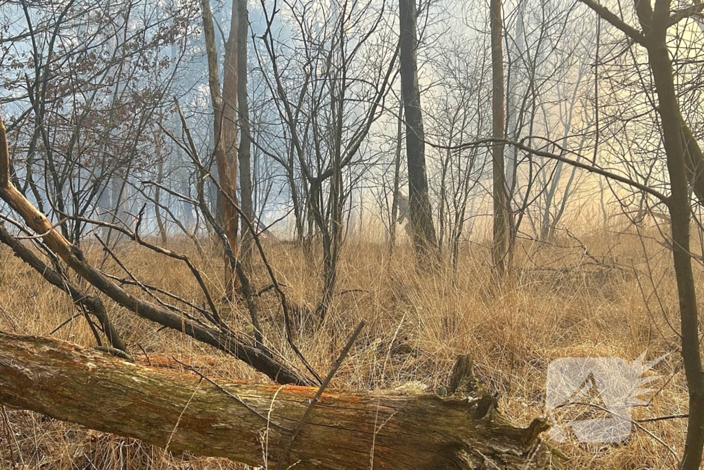 Brandweer strijdt tegen natuurbrand