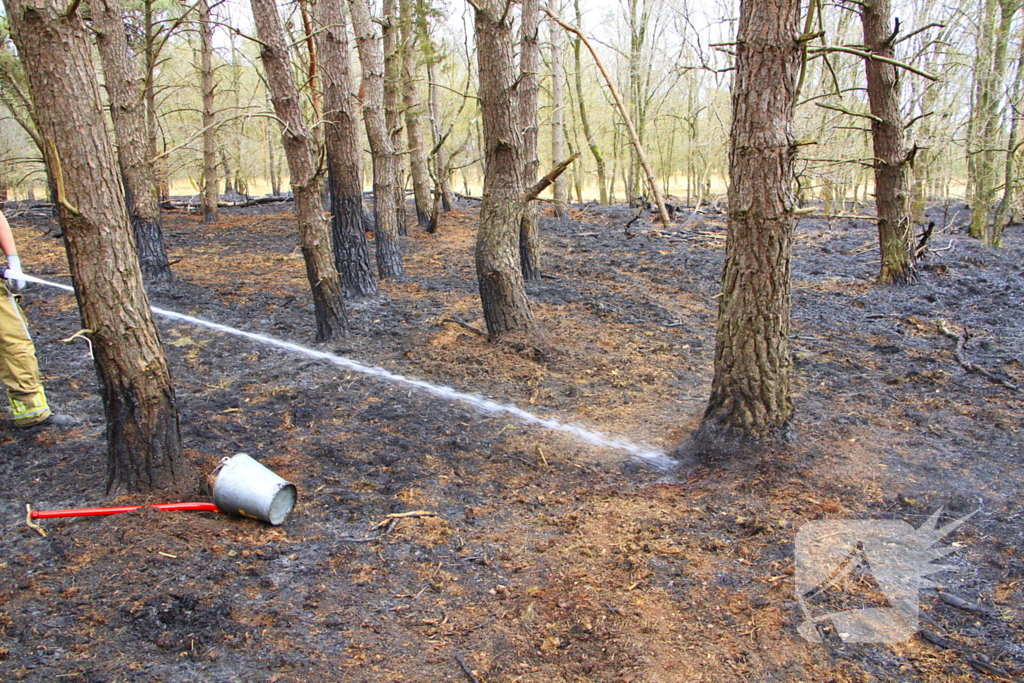 Regen helpt bij blussen van bosbrand welke natuurfotograaf opmerkte