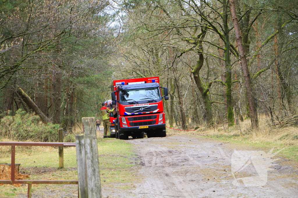 Regen helpt bij blussen van bosbrand welke natuurfotograaf opmerkte