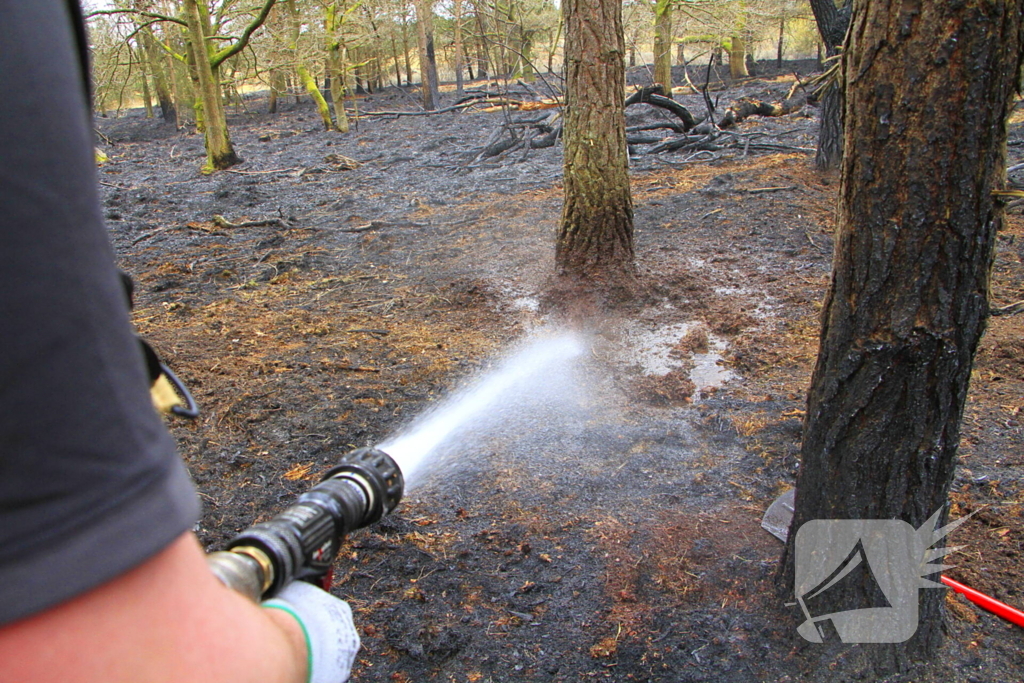 Regen helpt bij blussen van bosbrand welke natuurfotograaf opmerkte