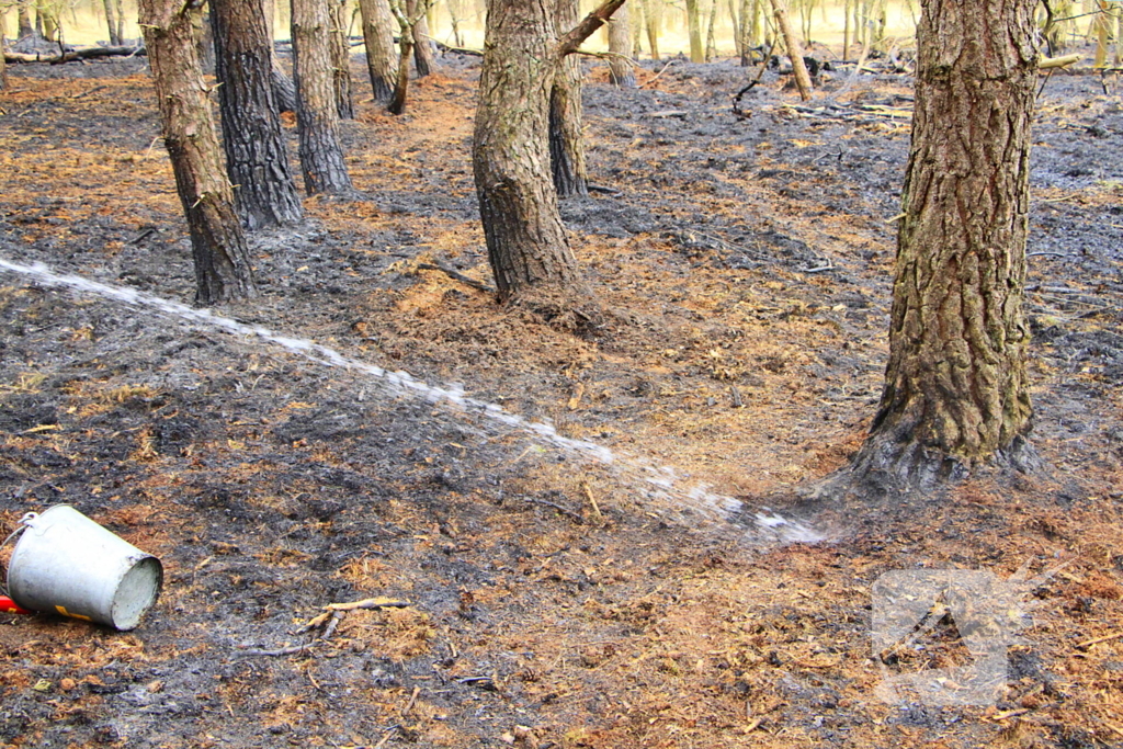 Regen helpt bij blussen van bosbrand welke natuurfotograaf opmerkte