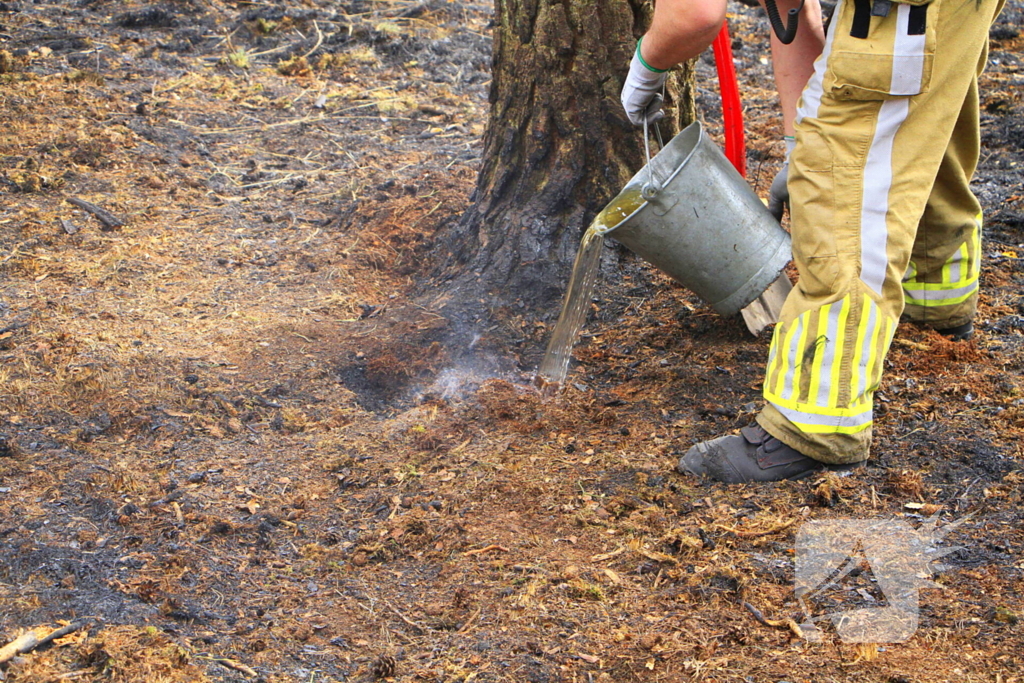 Regen helpt bij blussen van bosbrand welke natuurfotograaf opmerkte