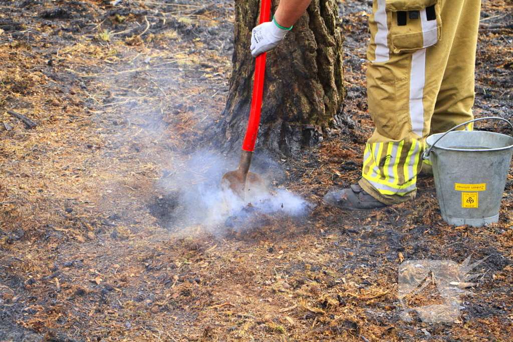 Regen helpt bij blussen van bosbrand welke natuurfotograaf opmerkte