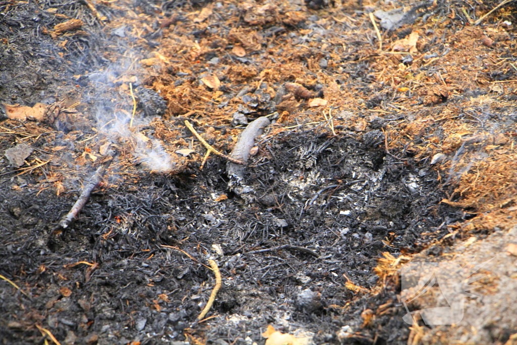 Regen helpt bij blussen van bosbrand welke natuurfotograaf opmerkte