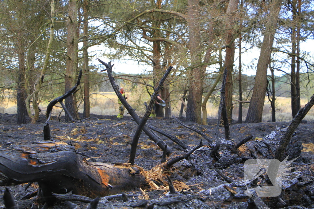 Regen helpt bij blussen van bosbrand welke natuurfotograaf opmerkte