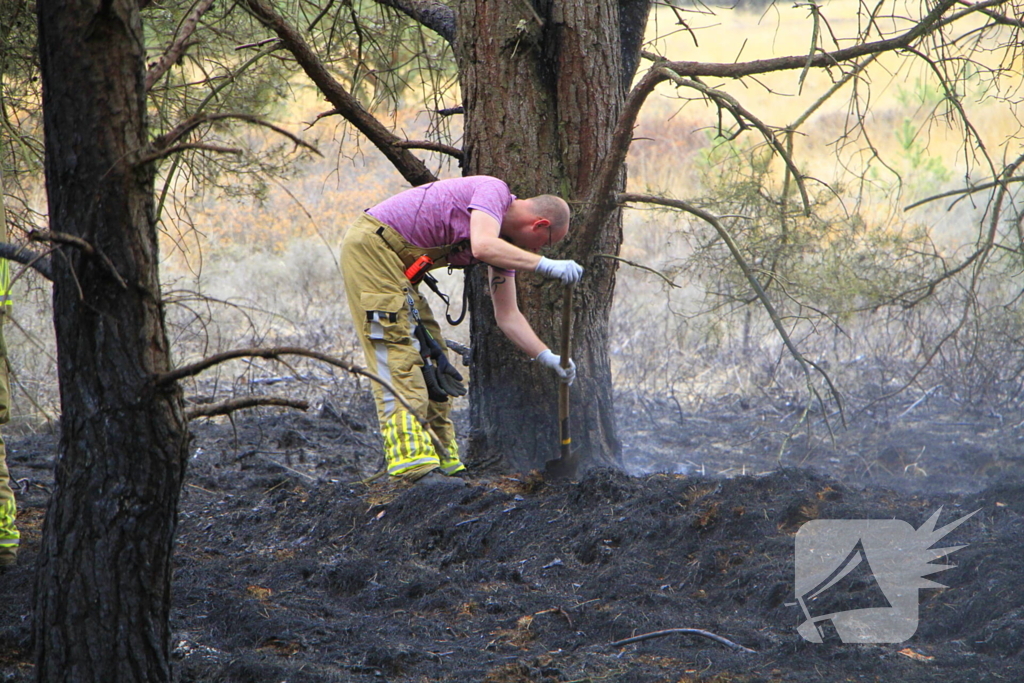 Regen helpt bij blussen van bosbrand welke natuurfotograaf opmerkte
