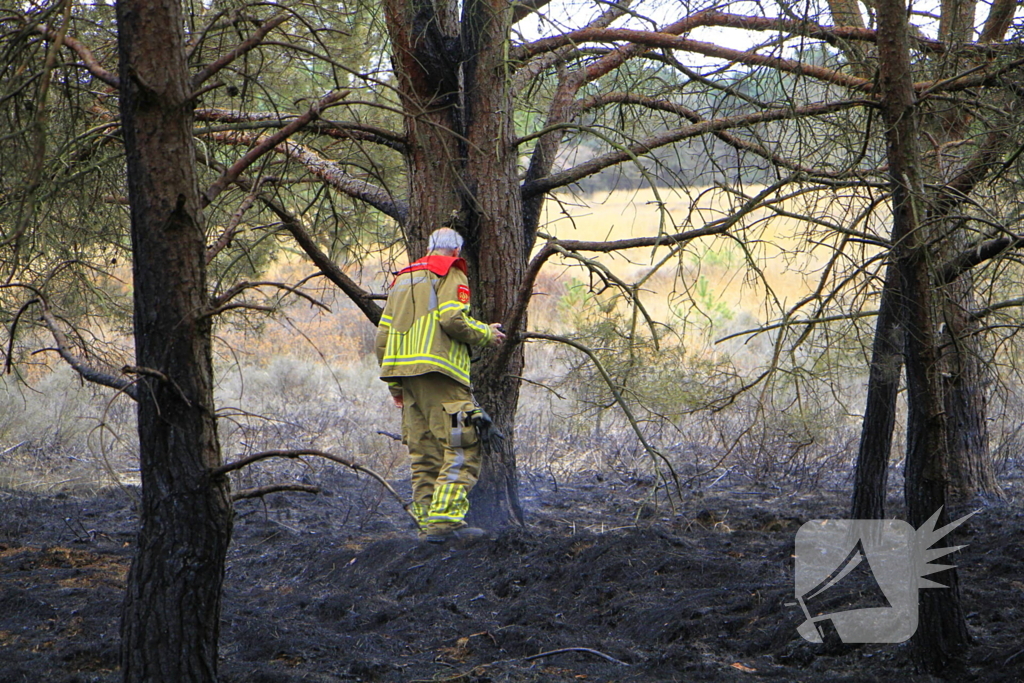Regen helpt bij blussen van bosbrand welke natuurfotograaf opmerkte