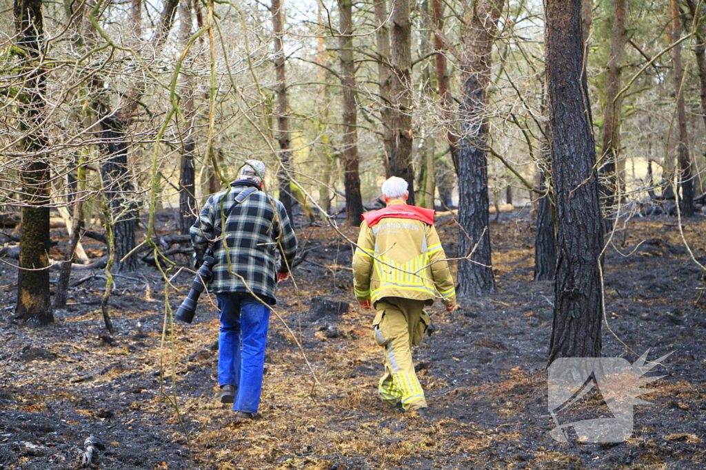 Regen helpt bij blussen van bosbrand welke natuurfotograaf opmerkte