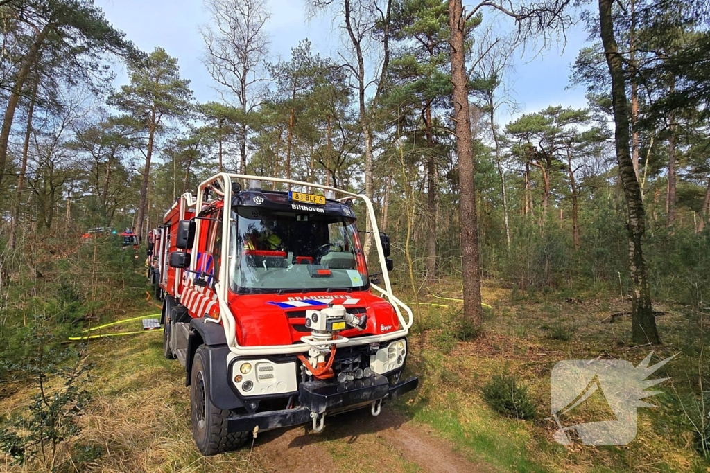 Extra ondersteuning door brandweervliegtuig bij bosbrand