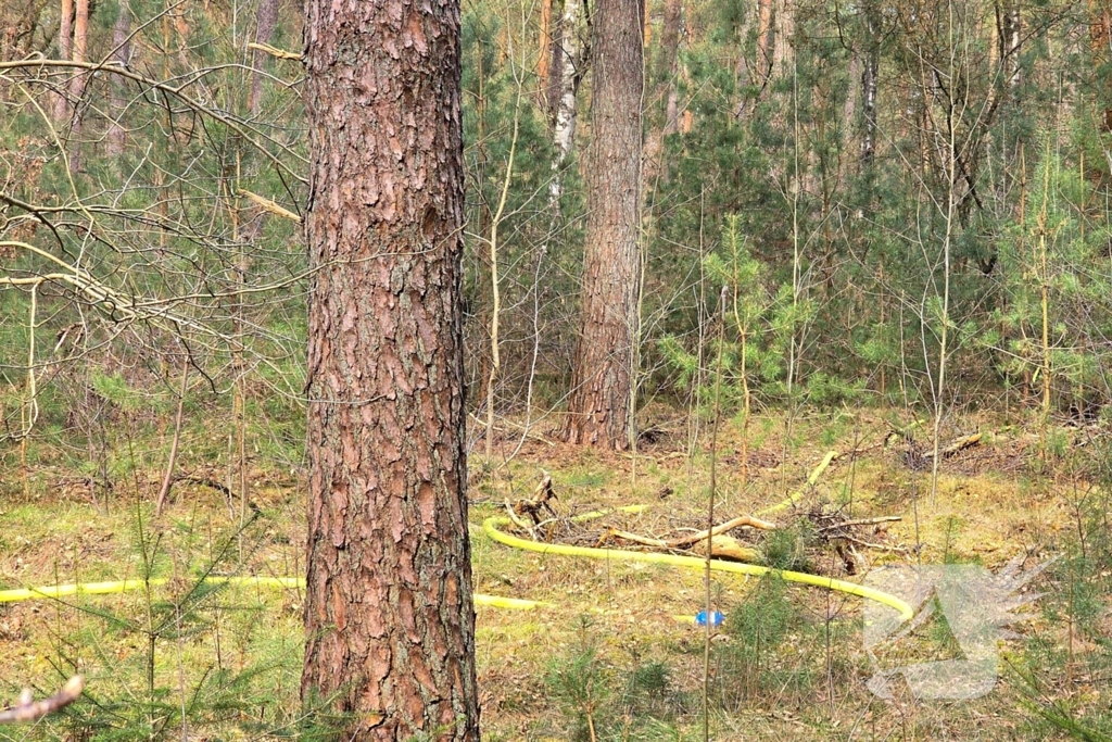 Extra ondersteuning door brandweervliegtuig bij bosbrand
