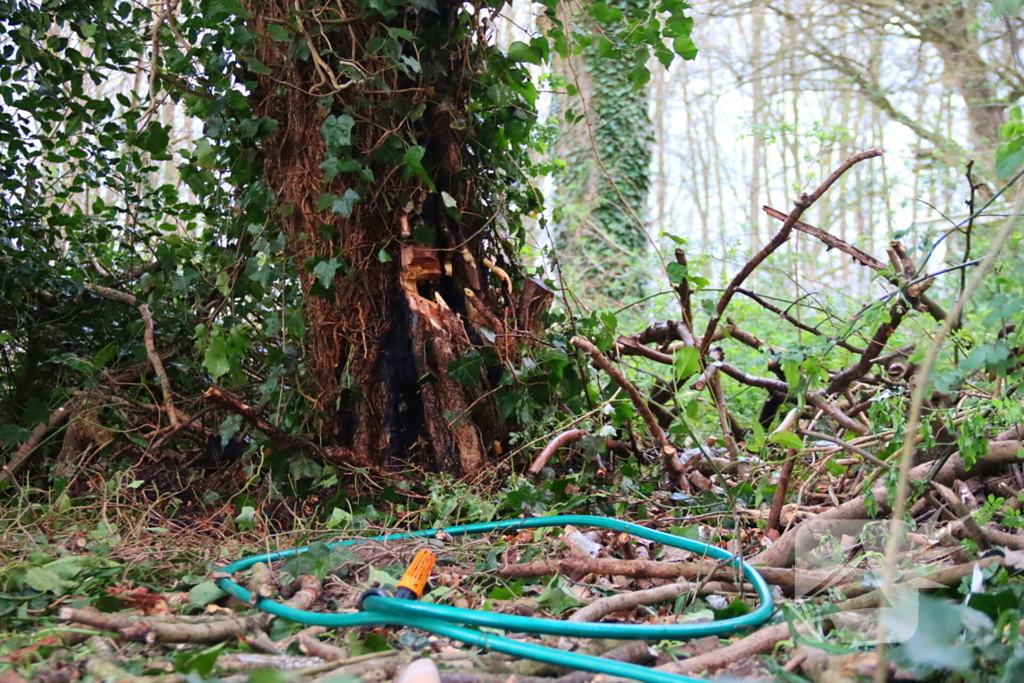 Brandweer dooft brand in boomstam met tuinslang