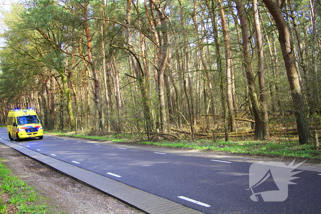 Automobilist raakt van de weg en belandt tegen boom