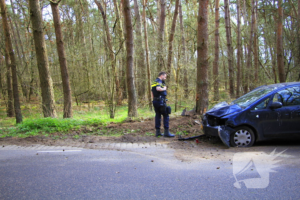 Automobilist raakt van de weg en belandt tegen boom