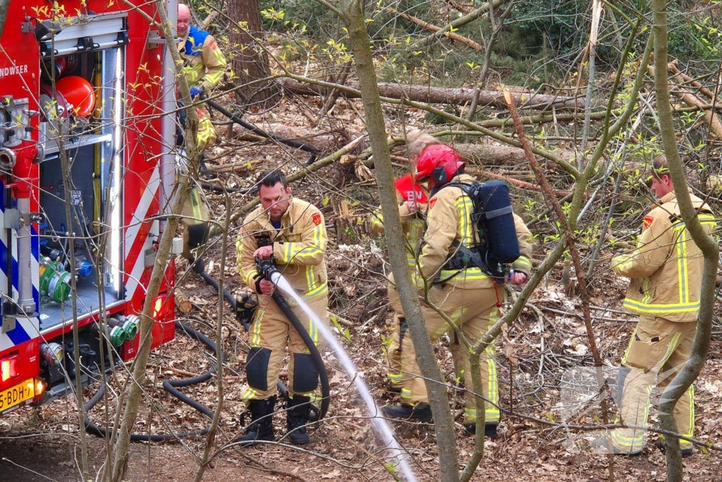 Brand in bosgebied snel onder controle