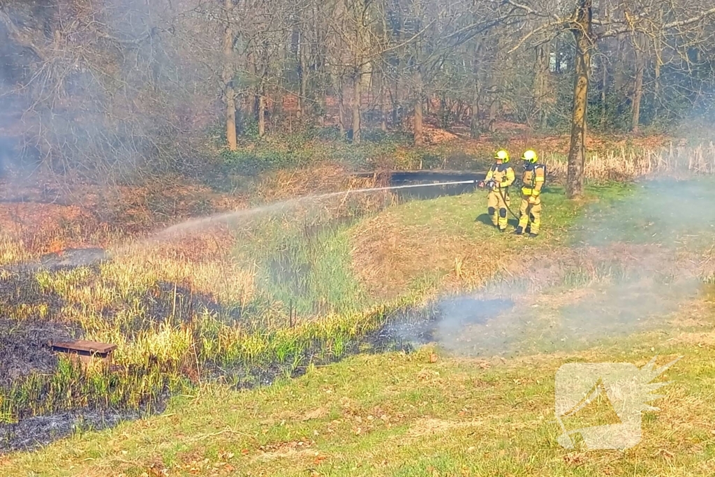 Riet in brand mogelijk brandstichting