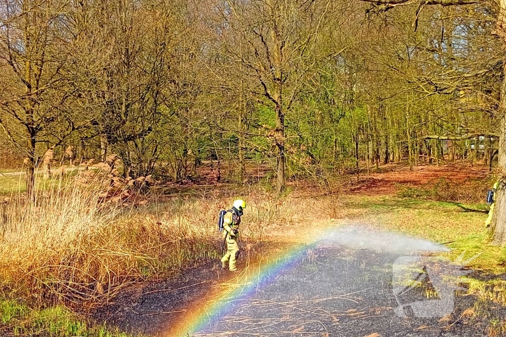 Riet in brand mogelijk brandstichting