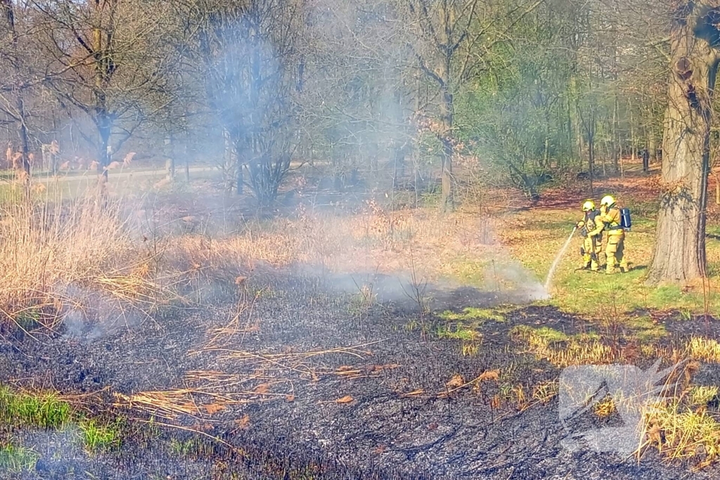 Riet in brand mogelijk brandstichting