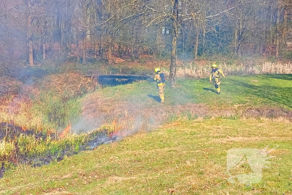 Riet in brand mogelijk brandstichting