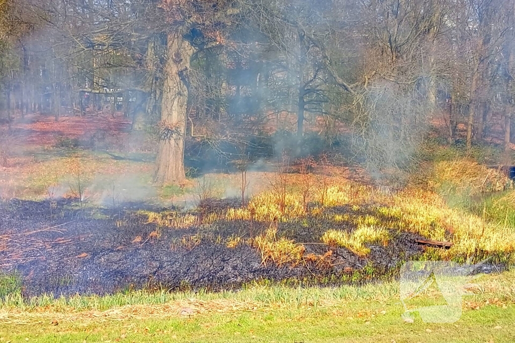 Riet in brand mogelijk brandstichting