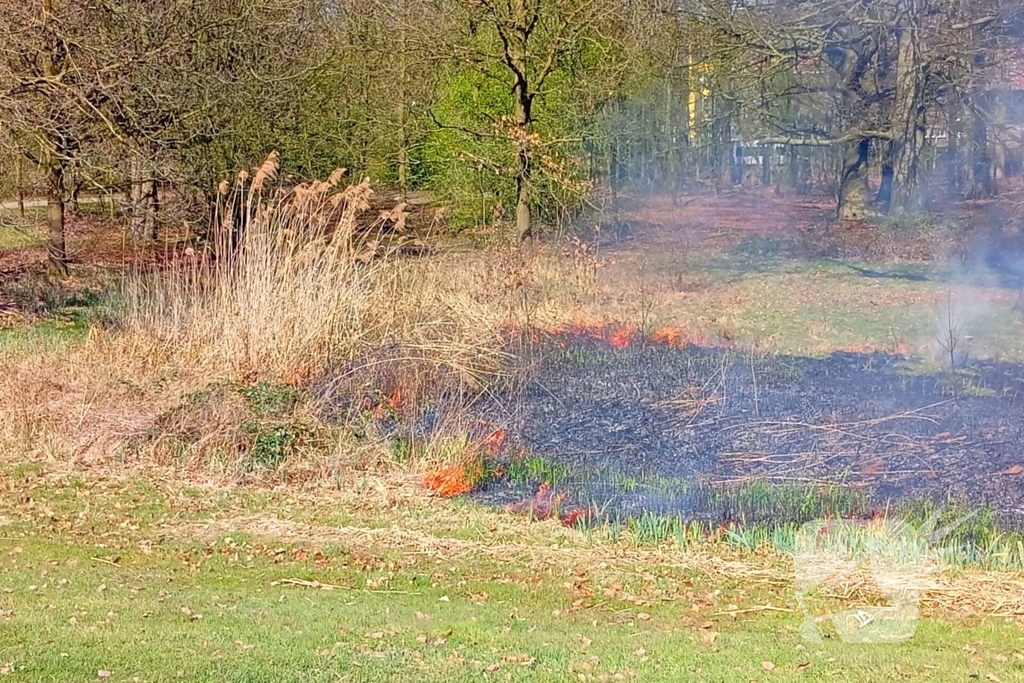 Riet in brand mogelijk brandstichting