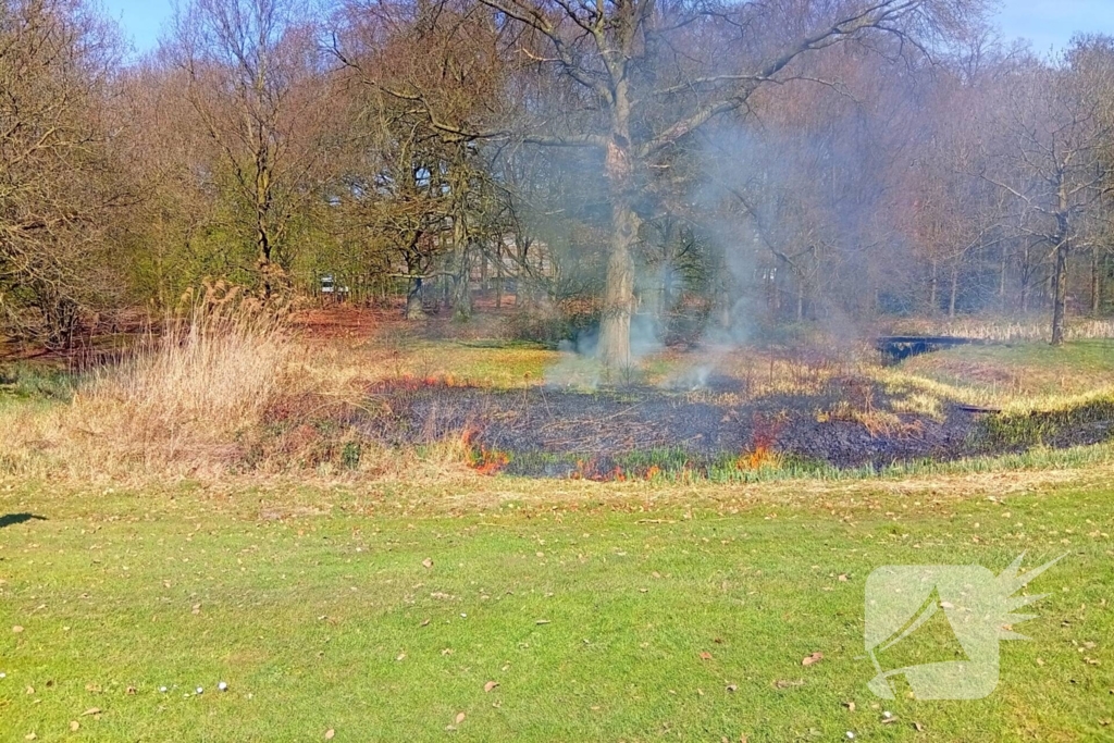 Riet in brand mogelijk brandstichting